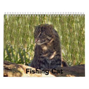 FishingCat008, Gevist kat Kalender