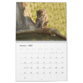 FishingCat008, Gevist kat Kalender (Jan 2027)