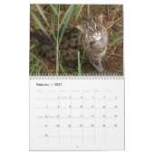 FishingCat008, Gevist kat Kalender (Feb 2027)