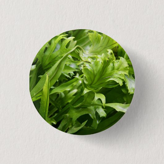 Fishtail Fern Button (Voorkant)