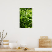 Fishtail Fern Poster (Keuken)