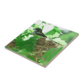 Fiskaal Laksman Fiscal Shrike Bird Nest Tegeltje (Zijkant)