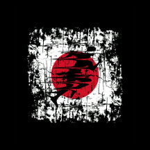 FITNESS JAPAN RUNNER GYM CROSS TRAINING GEWICHT