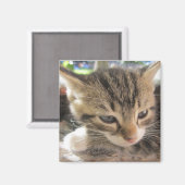 Fitsy de One Magnet (Voorkant / Achterkant)