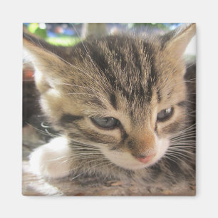 Fitsy de  One Magnet