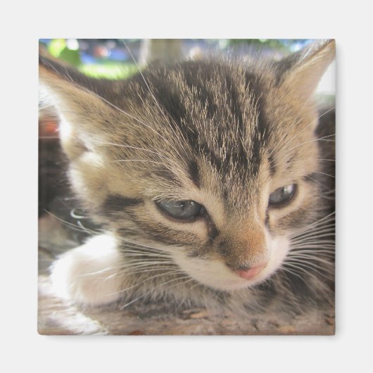 Fitsy de One Magnet (Voorkant)