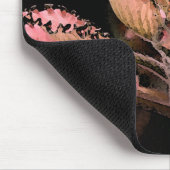 Fittonia argynoneura "Roze ster" Muismat (Hoek)