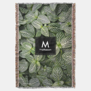 Fittonia Mosaic Plant met variabele bladeren Deken