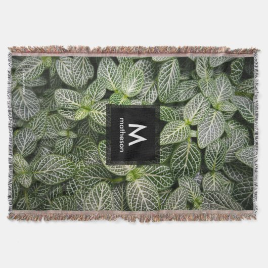 Fittonia Mosaic Plant met variabele bladeren Deken (Voorkant)