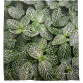 Fittonia Mosaic Plant met variabele bladeren Douchegordijn (Voorkant)