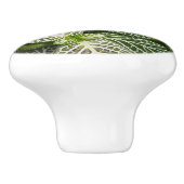 Fittonia Mosaic Plant met variabele bladeren Keramische Knop (Zijkant)