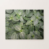 Fittonia Mosaic Plant met variabele bladeren Legpuzzel (Horizontaal)