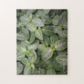 Fittonia Mosaic Plant met variabele bladeren Legpuzzel (Verticaal)