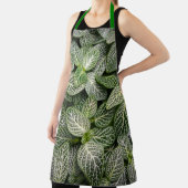 Fittonia Mosaic Plant met variabele bladeren Schort (Insitu)