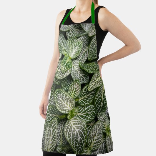 Fittonia Mosaic Plant met variabele bladeren Schort (Insitu)