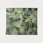 Fittonia Mosaic Plant met variabele bladeren Wandkleed (Voorkant (horizontaal))