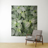 Fittonia Mosaic Plant met variabele bladeren Wandkleed (In situ)