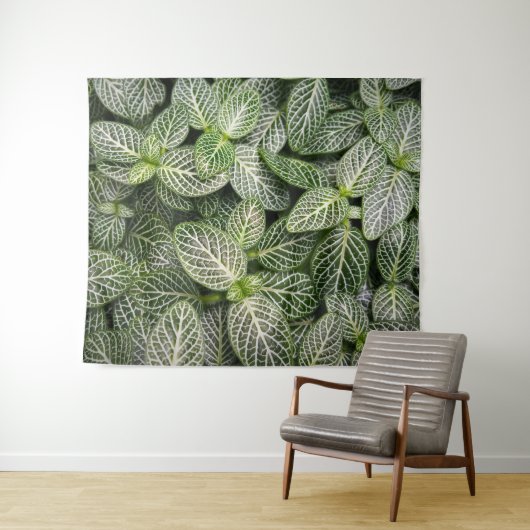 Fittonia Mosaic Plant met variabele bladeren Wandkleed (In Situ (horizontaal))