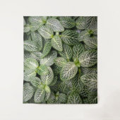 Fittonia Mosaic Plant met variabele bladeren Wandkleed (Voorkant)