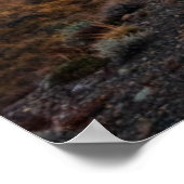 Fitz Roy in Morning Light Poster (Hoek)