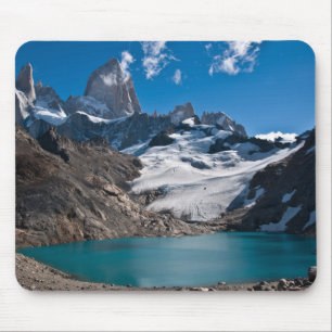 Fitz Roy Muismat