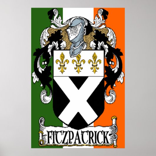Fitzpatrick-laag voor wapenafdrukken poster (Voorkant)