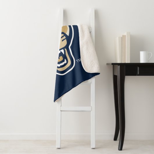 FIU Panter Head Sherpa Deken (In situ)