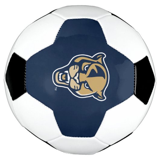 FIU Panter Head Voetbal (Gedraaid)