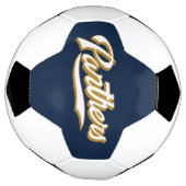 FIU Panthers Script Voetbal (Gedraaid)