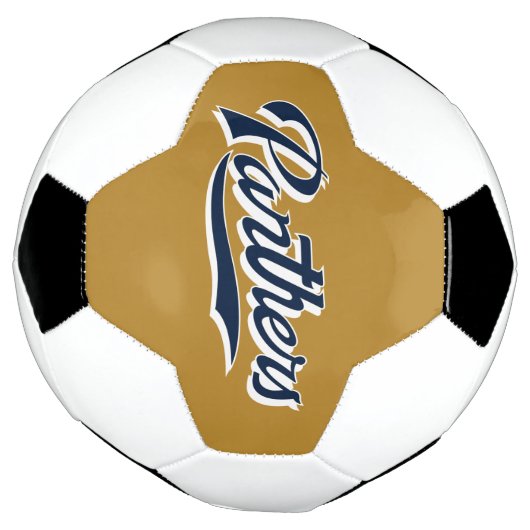 FIU Panthers Script Voetbal (Gedraaid)