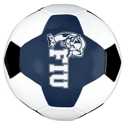 FIU Panthers - White Logo Voetbal (Gedraaid)