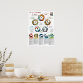 Five Elements Characteristics Cosmology Poster (Keuken)