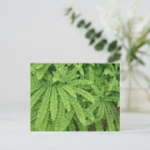 Five Finger Maidenhair Fern Briefkaart (Staand voorkant)