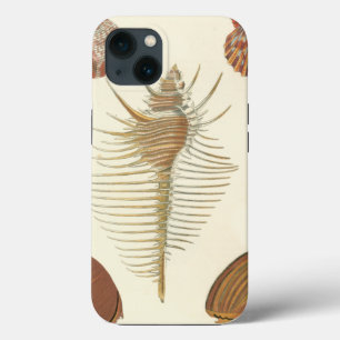 Five of a Kind Schelpen iPhone 13 Hoesje