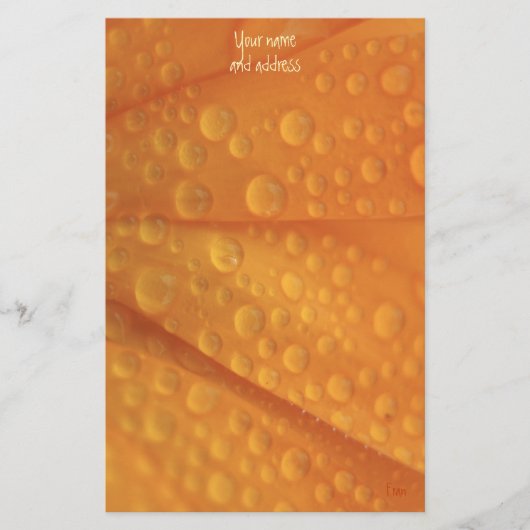 fizzie oranje briefpapier (Voorkant)