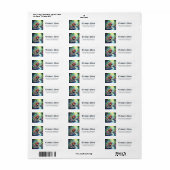 Fizzwiggle de Regenboog Schelmenstreek Sprite.  Etiket (Full Sheet)