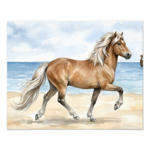 Fjara IJslands paard aquarel op het strand Foto Afdruk
