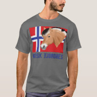 Fjord paard met Noorse vlag, een pony-fan, schatti