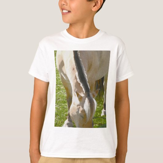 Fjord T-shirt (Voorkant)