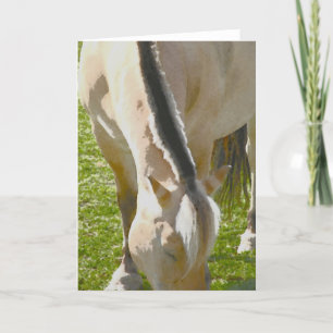 Fjord-wenskaart Kaart