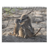 FKMP Meerkats 2013 Agenda Kalender (Hoes)