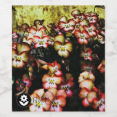 Fʟᴏᴡᴏᴡ | Pansy ~ Peach Wijn Etiket (Enkel label)