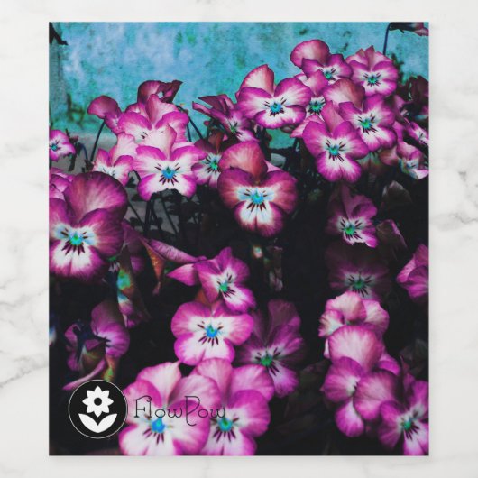 Fʟᴏᴡᴏᴡ | Pansy ~ Plum Wijn Etiket (Enkel label)