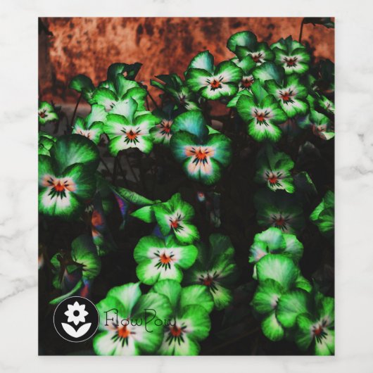 Fʟᴏᴡᴏᴡ | Pansy ~ Watermeloen Wijn Etiket (Enkel label)