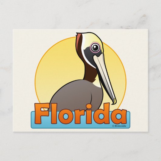  FL Brown Pelican Briefkaart (Voorkant)