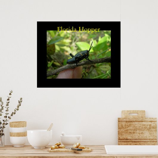 FL Hopper Poster (Keuken)