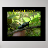 FL Hopper Poster (Voorkant)