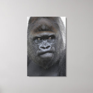 Flachlandgorilla, Gorilla Canvas Afdruk