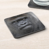 Flachlandgorilla, Gorilla gorilla, Bier Onderzetter (Linkerzijde)
