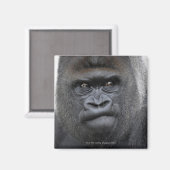 Flachlandgorilla, Gorilla gorilla, Magneet (Voorkant / Achterkant)
